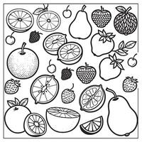 Fruits outline coloring page illustration for children and adult vector