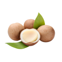 ai genererad macadamia nötter på transparent bakgrund png bild