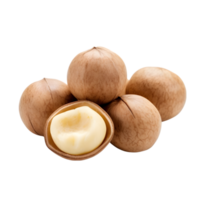 ai genererad macadamia nötter på transparent bakgrund png bild