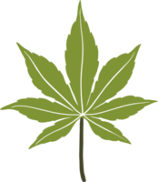 eenvoud hennep blad uit de vrije hand tekening png