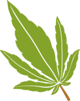 Einfachheit Cannabisblatt Freihandzeichnung png