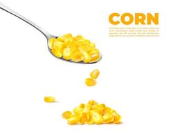 Realistic sweet maize corn spoon sweetcorn kernels vector