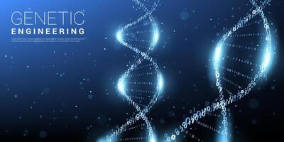 Digital dna, binary molecular genome code banner vector