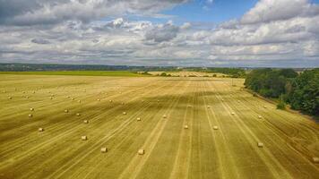 Bales of hay in the field. A stack of hay. Straw in the meadow. Wheat harvest in summer. The natural landscape of the countryside. Grain crop, harvesting. photo