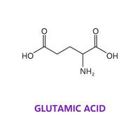 Neurotransmitter Glutamic acid chemical formula vector