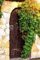 Beautiful wooden door in a stone wall overgrown with plants. Door and a wall covered with ivy photo