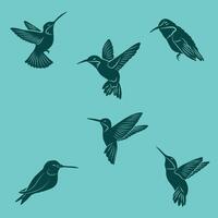 Four hummingbirds flying in different positions on a blue background. vector