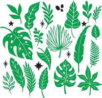 Various green leaves and stars on a white background. vector