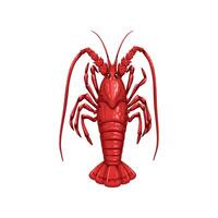 Langoustine scampi, cartoon seafood and sea food vector