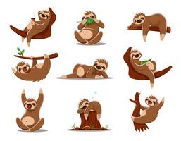 Cartoon sloth characters hanging on tree branches vector