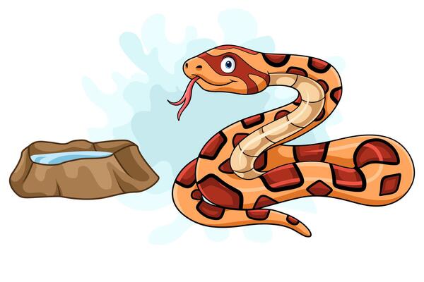 Cartoon angry cornsnake on white background