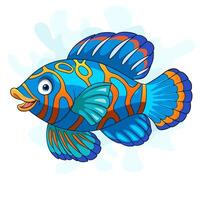 Cartoon mandarin fish isolated on white background vector