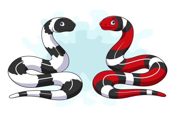 Cartoon king snake isolated on white background