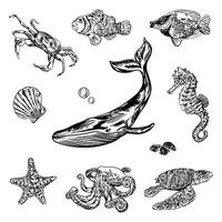 Sea animals, set. Crab, fish, whale, starfish, octopus, turtle, sea horse. Vector illustration. Graphic. Design element for cards, covers, nautical posters, banners, packaging, labels, invitations.