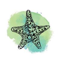 Starfish, graphics. Vector illustration on a blue spot background. Design element for cards, invitations, banners, flyers, covers, labels, posters.