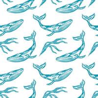 Sea whale, pattern, seamless. Graphic arts. Vector illustration. Design element for cards, invitations, banners, flyers, covers, labels, textiles, packaging, wallpaper.
