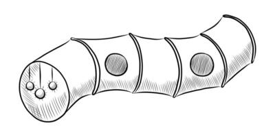 BLACK AND WHITE VECTOR DRAWING OF A TUNNEL FOR PETS