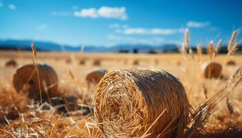 AI generated Golden wheat bales roll across the rural meadow generated by AI photo