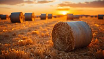 AI generated Sunset over a rural farm, golden haystacks dotting the meadow generated by AI photo