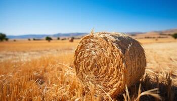 ai generado rural escena granja prado, amarillo trigo fardos rodar generado por ai foto