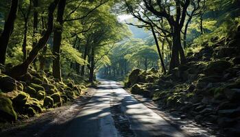 ai generado el tranquilo bosque camino Guías a un misterioso aventuras generado por ai foto