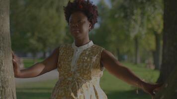 glücklich jung afrikanisch Frau im Sommer- Kleid suchen beim Park Bäume video