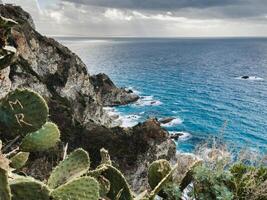 Prickly pears and sea in Calabria photo