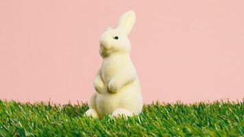 Sweet Easter bunny on the green lawn photo
