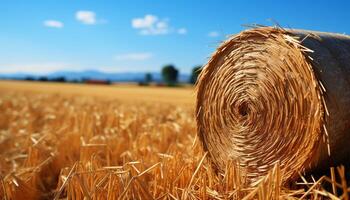 AI generated Harvesting wheat, rolled up haystacks, golden meadow, rural beauty generated by AI photo