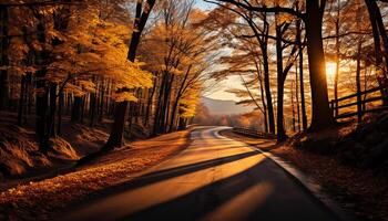 ai generado otoño árbol, bosque, luz de sol vibrante colores, tranquilo viaje generado por ai foto