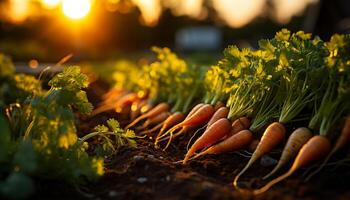 AI generated Fresh organic vegetables grown on a farm, healthy and vibrant generated by AI photo