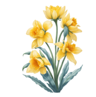 ai generiert Aquarell Grafik Frühling Blume Narzisse png