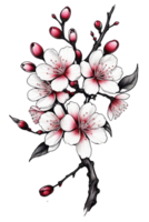 ai généré printemps graphique, délicat Cerise fleurs sur une branche png