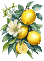 ai generato grafica con fiori e frutta formatura un' mazzo png