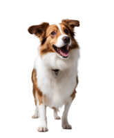 ai généré content chien la grève une pose png