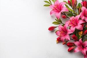 AI generated Beautiful spring pink flowers on white background.Generative Ai. photo