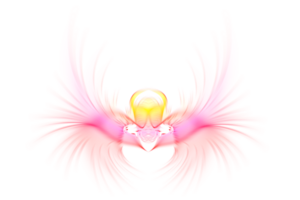 ilusão luz colorida abstrato pássaro Rosa amarelo png