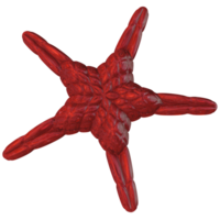 3d estrella de mar rojo vaso png