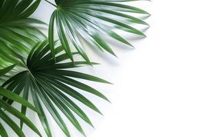 AI generated Top view green palm leaf on white background.Generative Ai. photo