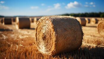 AI generated Agriculture beauty in nature rolled up hay bales in meadow generated by AI photo