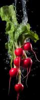 AI generated This tall photo captures the graceful freefall of glistening radishes and water, their succulent forms suspended in midair, on a black background showcasing the beauty of nature's bounty