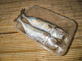 Two raw mackerel fish before cooking photo