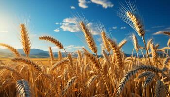 AI generated Rural scene wheat growth, yellow meadow, blue sky, vibrant sunset generated by AI photo