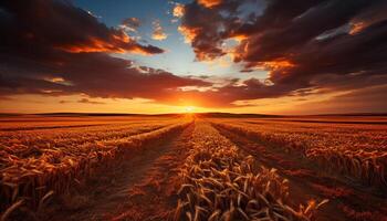 ai generado puesta de sol terminado el rural granja, un tranquilo escena de belleza generado por ai foto