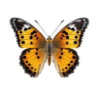 AI generated Butterfly isolated against transparent background - Ai generated png