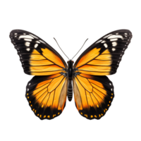 AI generated Butterfly isolated against transparent background - Ai generated png