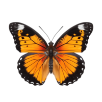 AI generated Butterfly isolated against transparent background - Ai generated png