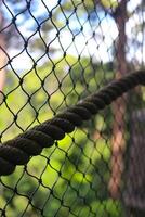 close up photo of protective net, suspension bridge