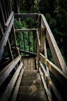 de madera escaleras, de madera edificio, alto foto