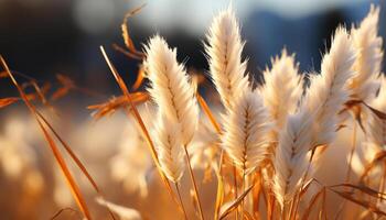 AI generated Golden wheat fields in the summer, ripe for harvesting generated by AI photo